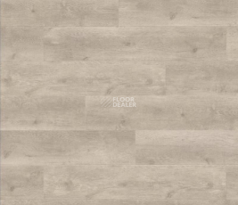 Haro Tritty 100 Campus 4V ДУБ БЕРГАМО СЕРЕБРЯНО-СЕРЫЙ 538748 фото 1 | FLOORDEALER